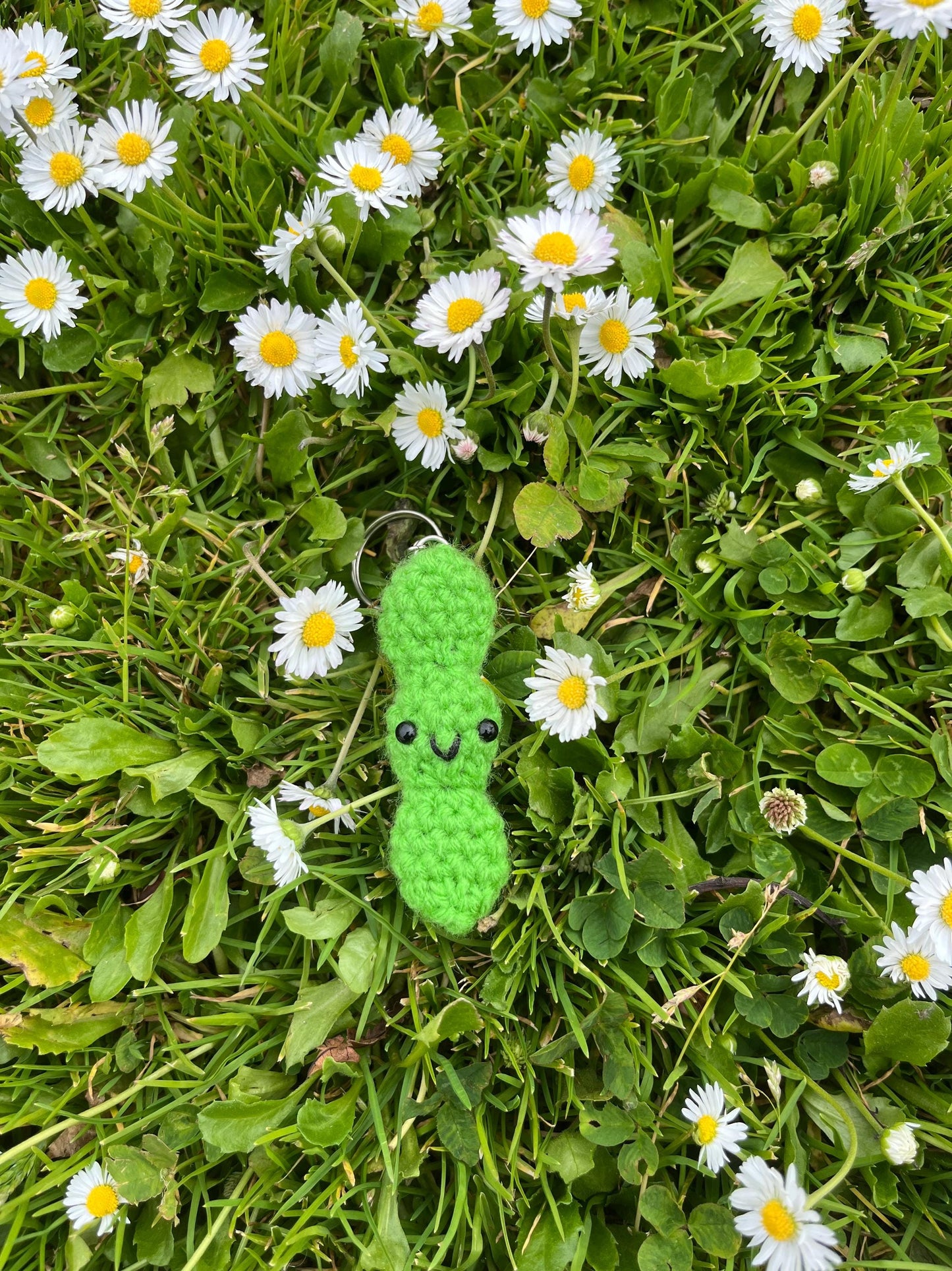 Crochet Amigurumi Bento Box Keychains