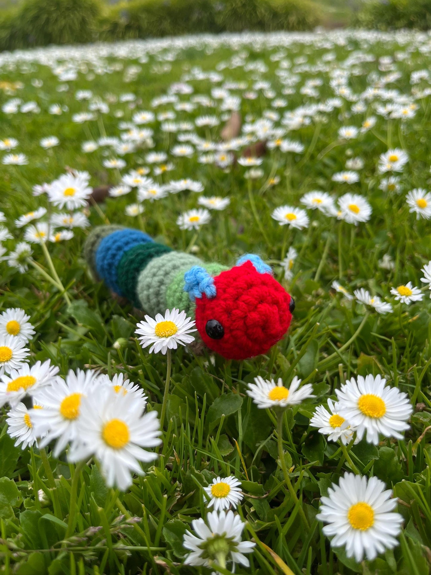 Very Hungry Caterpillar Crochet Plushie