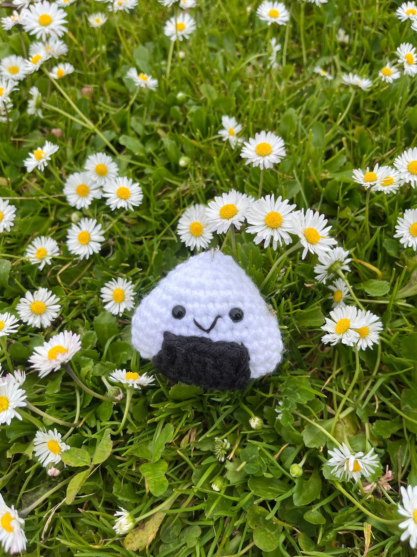 Crochet Amigurumi Bento Box Keychains